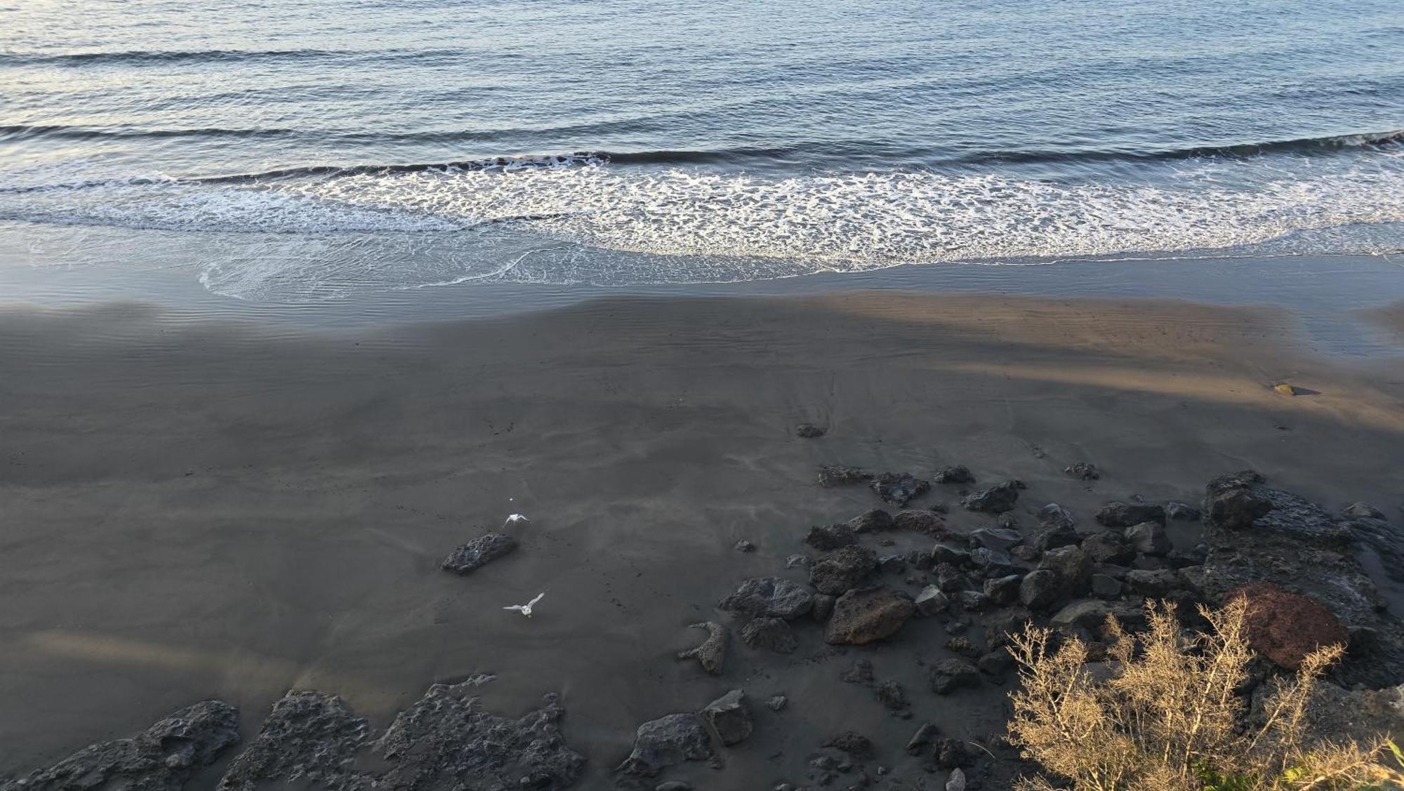 Seaview Apartament, Playa Chica, Gaviotas Apartamento *